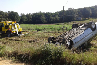 VEHICLE BOLCAT EN PISTA FORESTAL