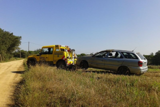 VEHICLE BOLCAT EN PISTA FORESTAL