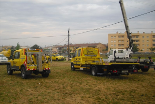 39ª FIRA DE TRACTORISTES DE VIDRERES
