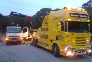 CAMIO GRUA BOLCAT